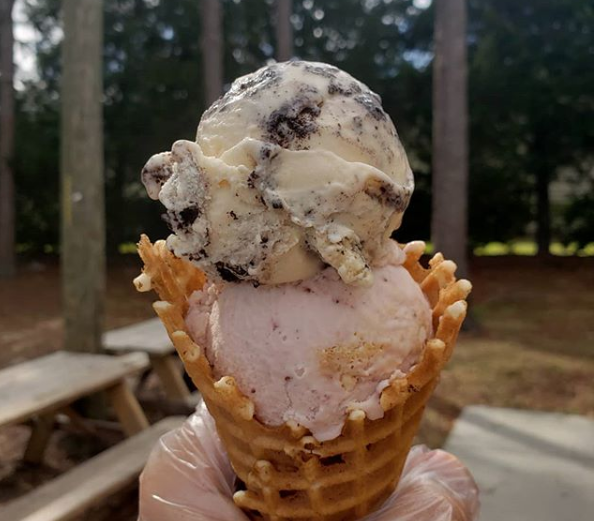 2 Scoop Cone/Bowl Ice Dreammm Shop Homemade Ice Cream, Lutz, FL